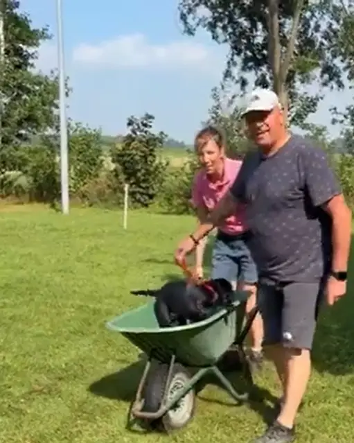 Puppy zomerschool Friesland: start direct, geen wachtlijst